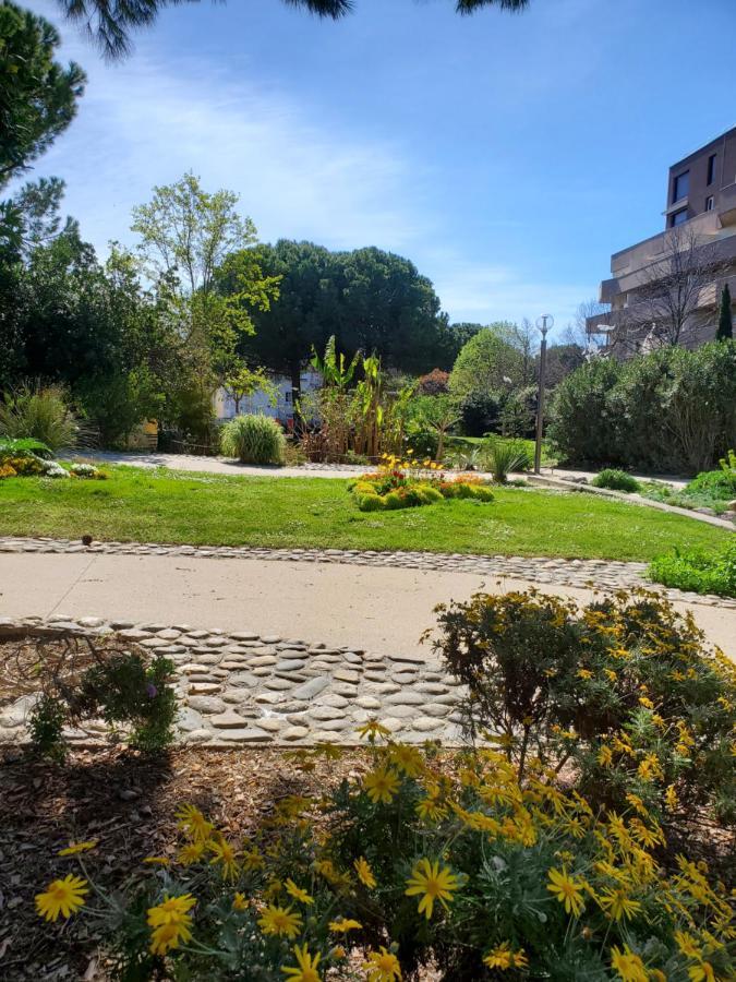 Le Grenier, Climatisation Terrasse Wi-Fi Netflix 15 Mn Coeur De Ville Béziers Exterior foto